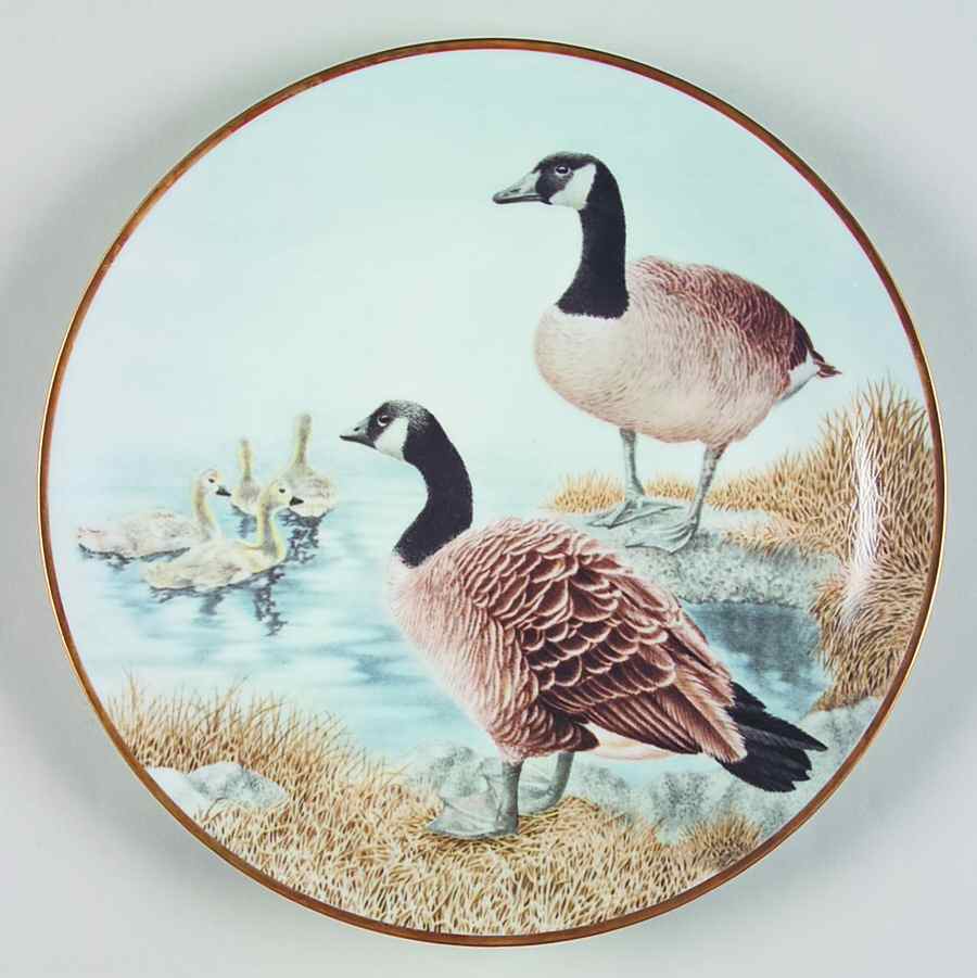 12 Waterbird Plates-The Sumner Collection Canada Goose - No Box by Danbury Mint-1