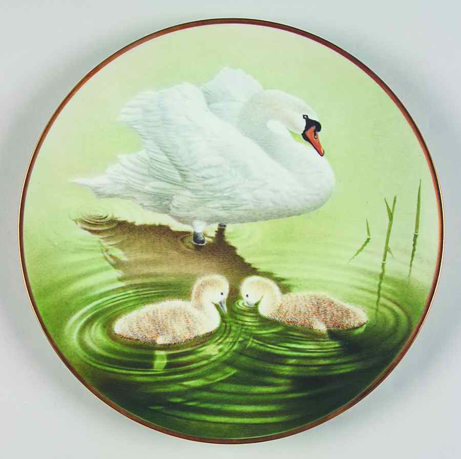 12 Waterbird Plates-The Sumner Collection Mute Swan - No Box by Danbury Mint-1