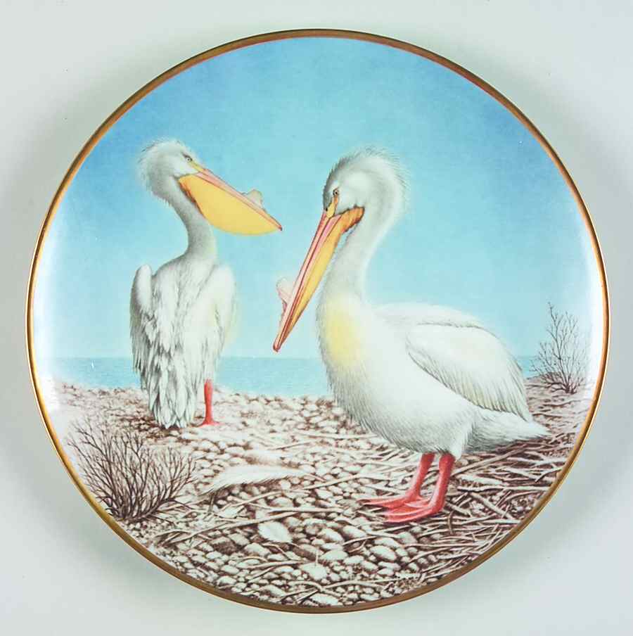 12 Waterbird Plates-The Sumner Collection Pelican - No Box by Danbury Mint-1
