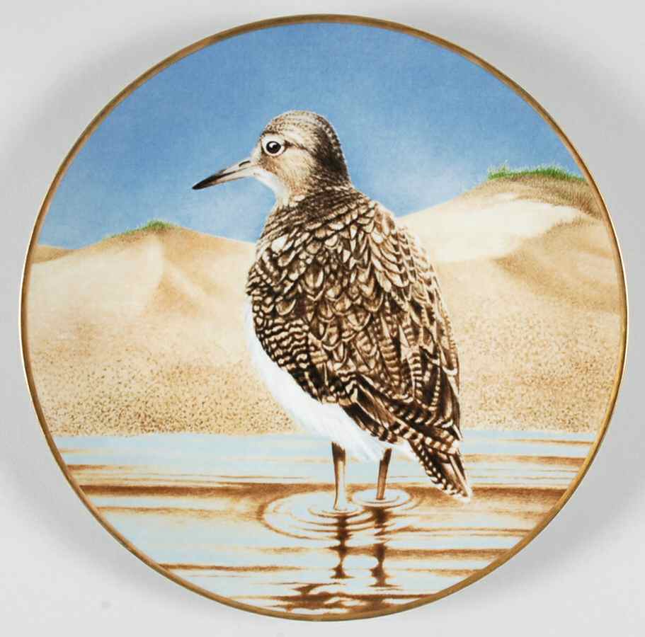12 Waterbird Plates-The Sumner Collection Sandpiper - No Box by Danbury Mint-1