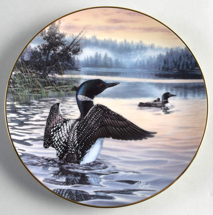 Birds of The North Morning Light: Common Loons - Boxed by Dominion-1
