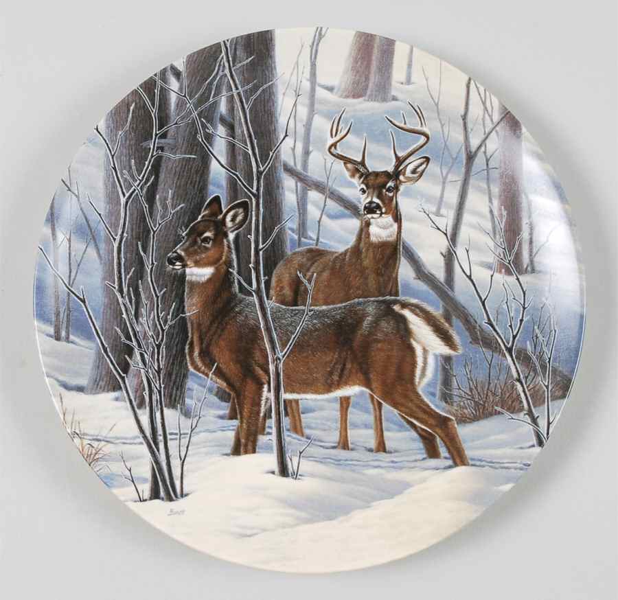 Portraits of the Wild Ready:White-Tailed Deer - No Box by Dominion-1