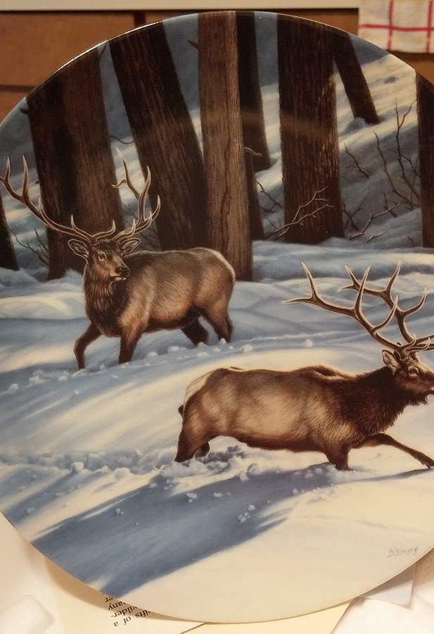 Portraits of the Wild Changing Direction: Elk - No Box by Dominion-1