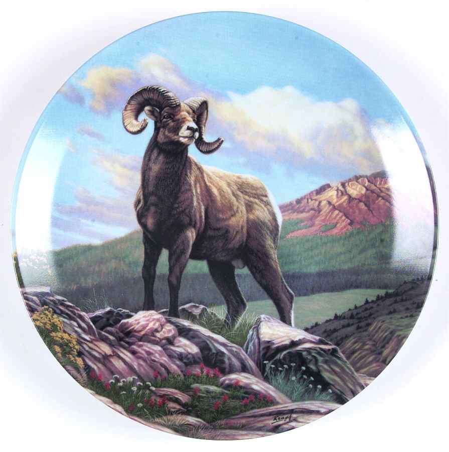 Wild & Free:Canada's Big Game The Bighorn Sheep - Boxed by Dominion-1