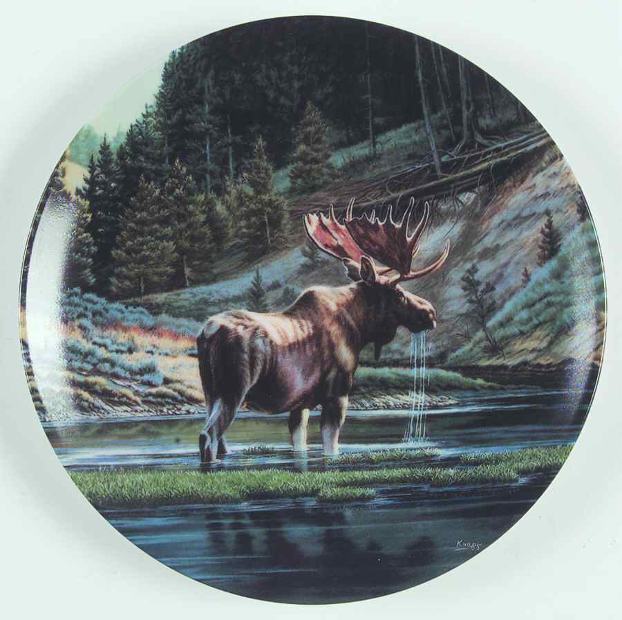 Wild & Free:Canada's Big Game The Moose - Boxed by Dominion-1
