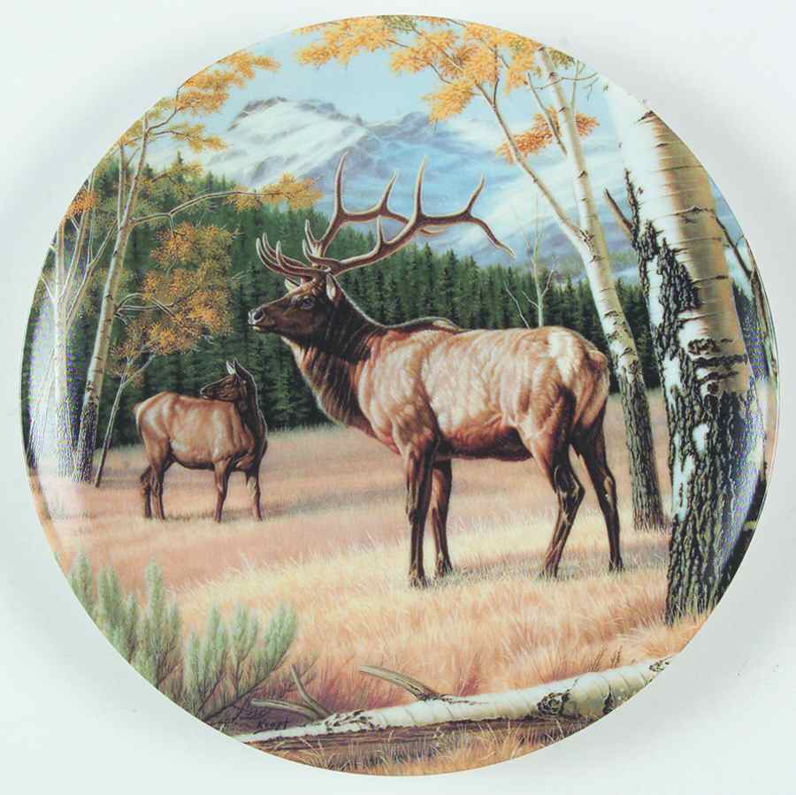 Wild & Free:Canada's Big Game The Elk - No Box by Dominion-1