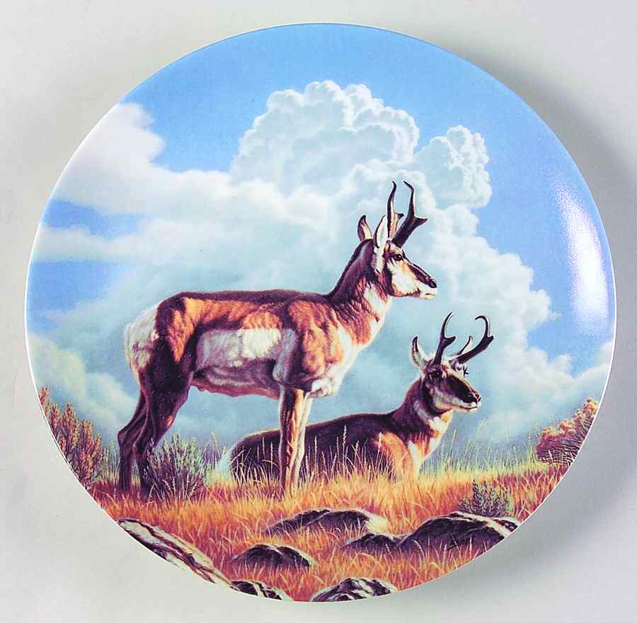 Wild & Free:Canada's Big Game The Pronghorn - Boxed by Dominion-1