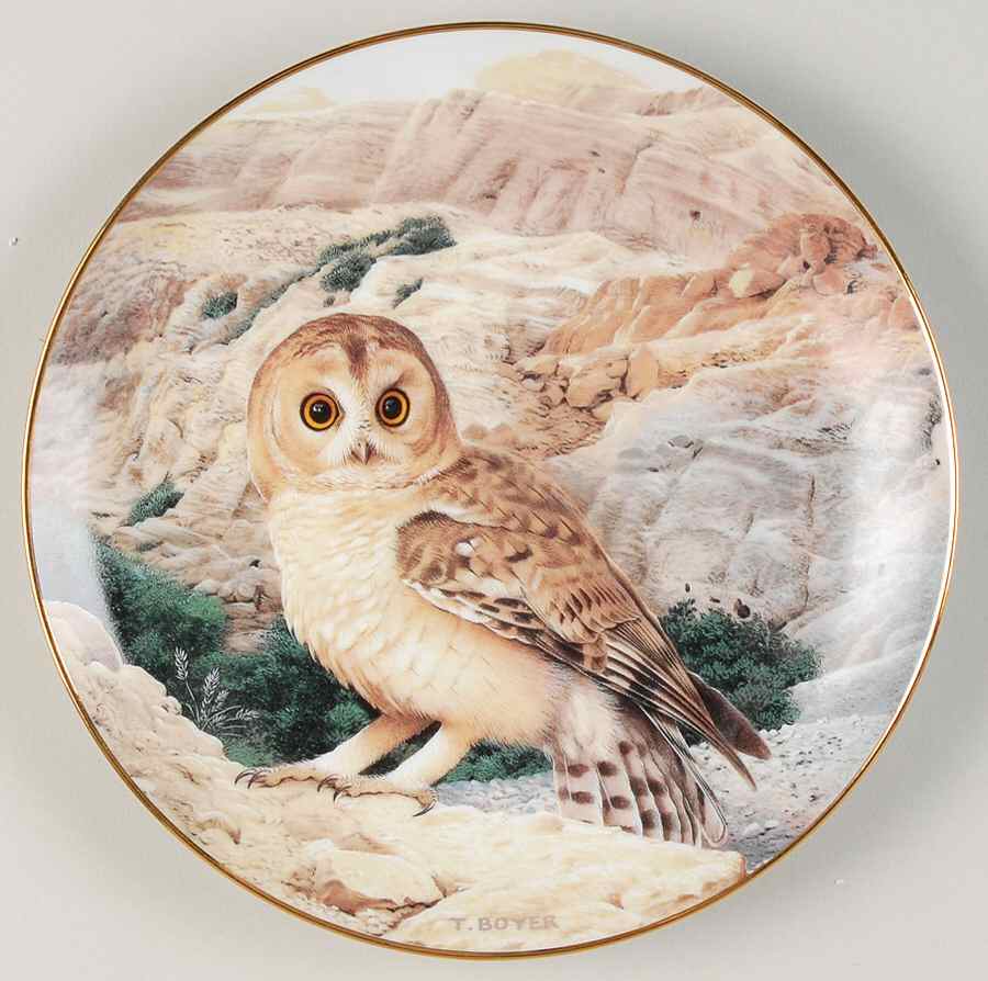 Majesty of Owls Desert Lord - No Box by Danbury Mint-1