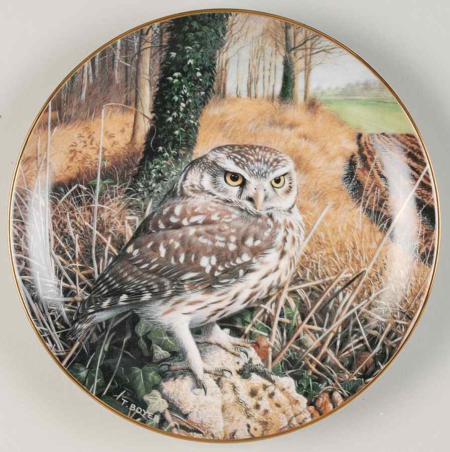 Majesty of Owls Watchful Eye - No Box by Danbury Mint-1