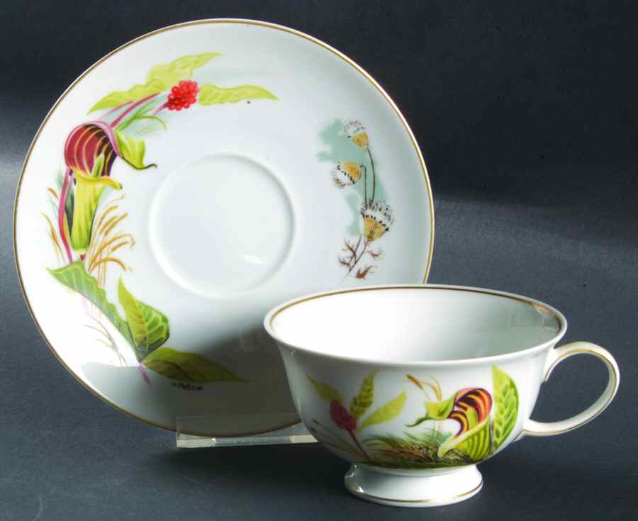 Wildflowers of America Cup & Saucer Jack-In-The-Pulpit - No Box by Danbury Mint-1