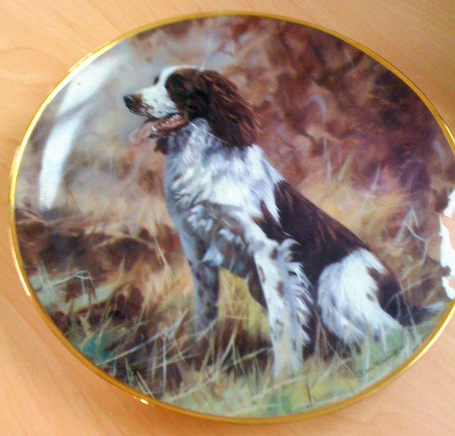 Danbury Mint Single Release Plates This Noble Breed (Springer Spaniel) - No Box by Danbury Mint-1