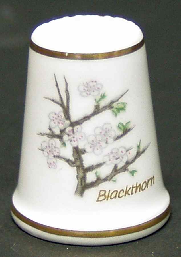 Garden of Verses Blackthorn - No Box by Danbury Mint-1