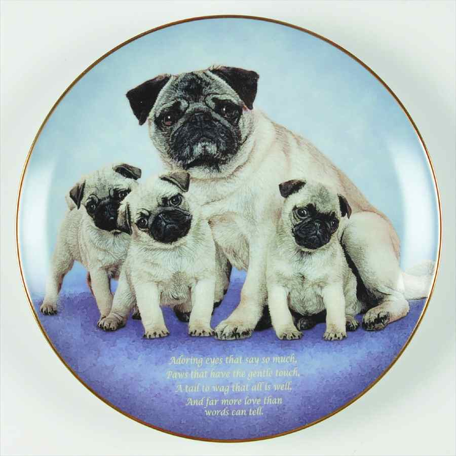 Devoted Pugs Adoring Eyes - No Box by Danbury Mint-1