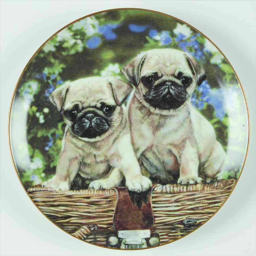 Pug Family Picnic Pups - No Box by Danbury Mint-1