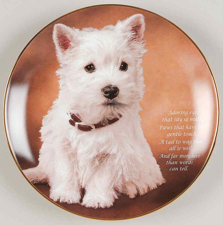 Beloved Westies Adoring Eyes - No Box by Danbury Mint-1