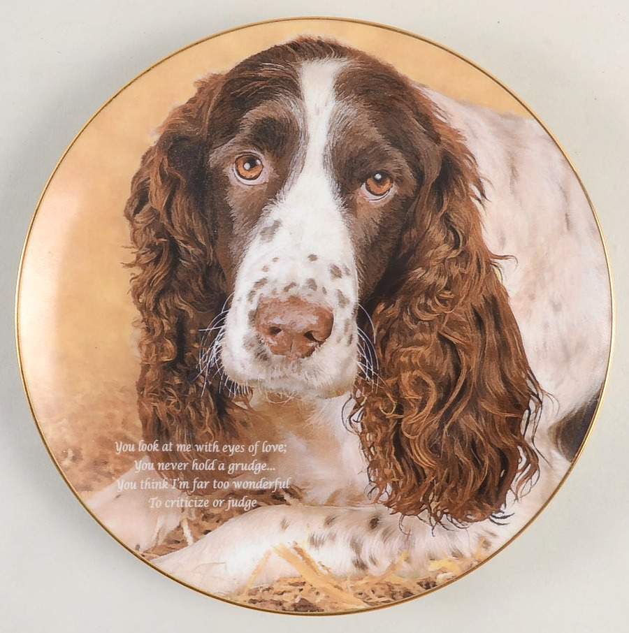 Cherished Springer Spaniels Eyes Of Love - No Box by Danbury Mint-1