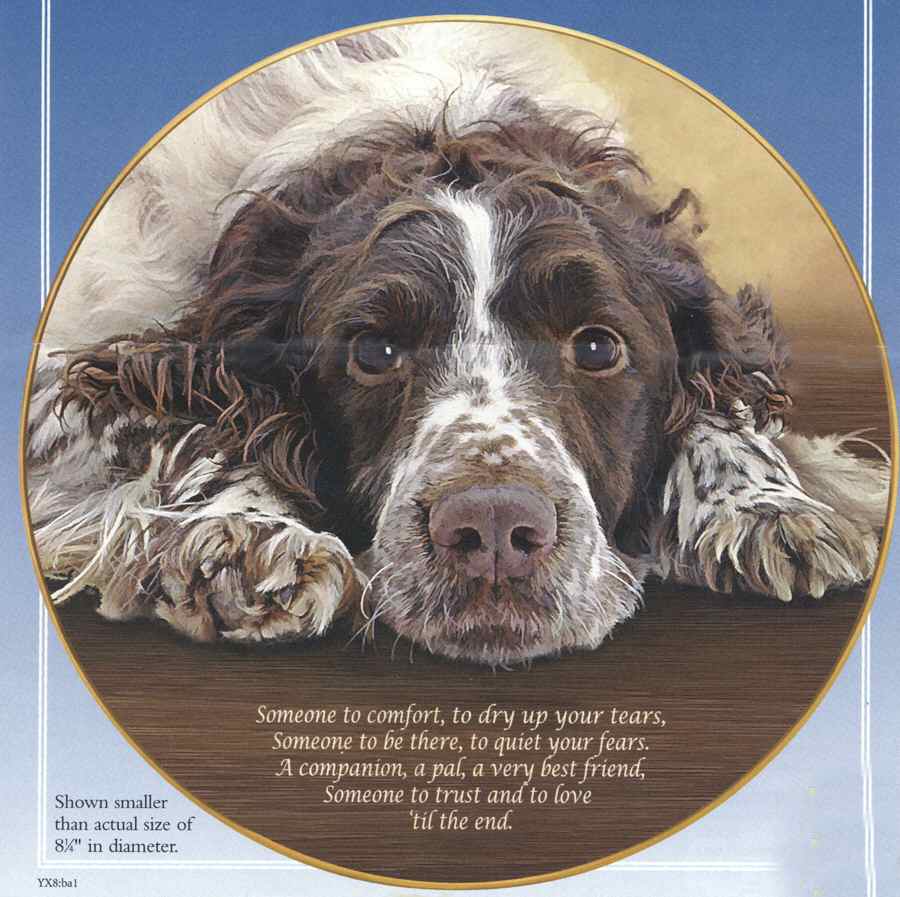 Cherished Springer Spaniels Someone To Comfort - No Box by Danbury Mint-1