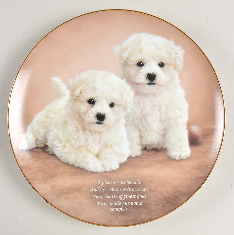 Cherished Bichons Heart Of Gold - No Box by Danbury Mint-1