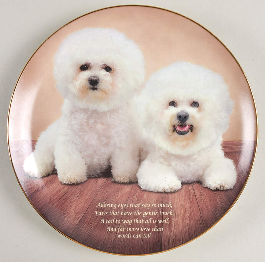 Cherished Bichons Adoring Eyes - No Box by Danbury Mint-1