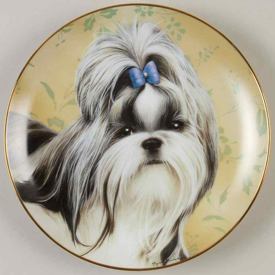 Shih Tzu Wallflower - No Box by Danbury Mint-1