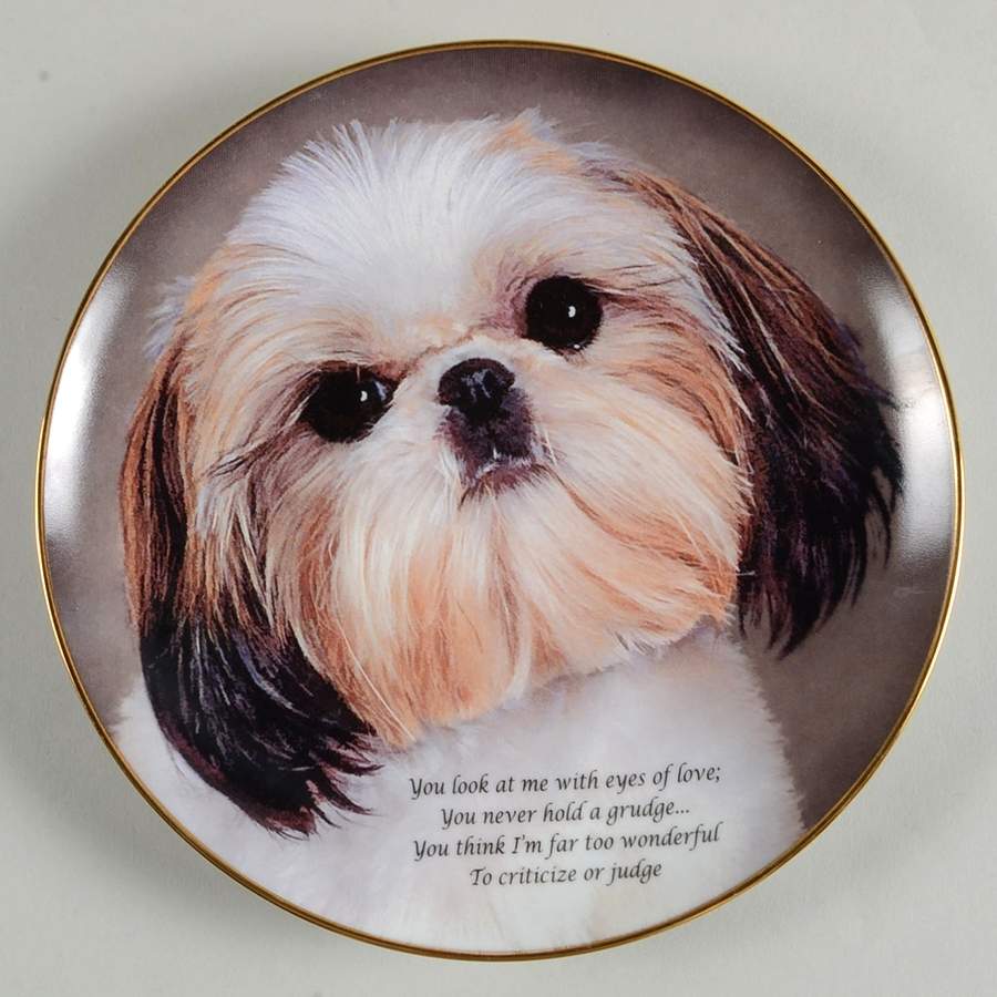Cherished Shih Tzus Eyes Of Love - No Box by Danbury Mint-1