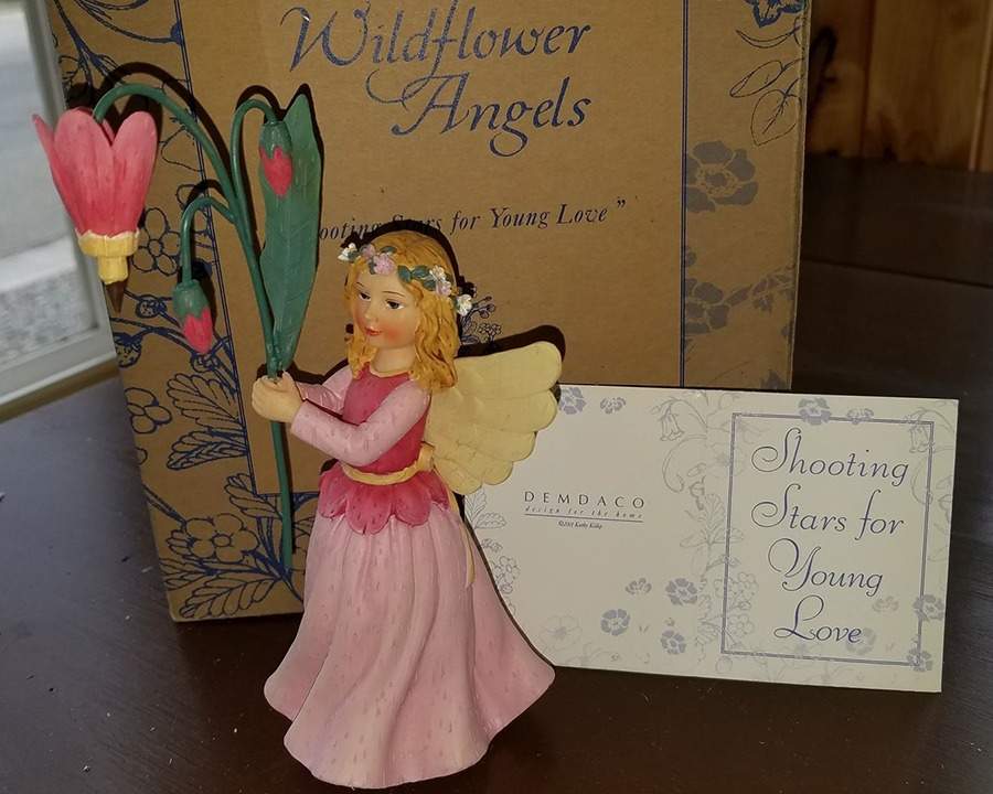 Wildflower Angels Shooting Stars For Young Love - Boxed by Demdaco-1