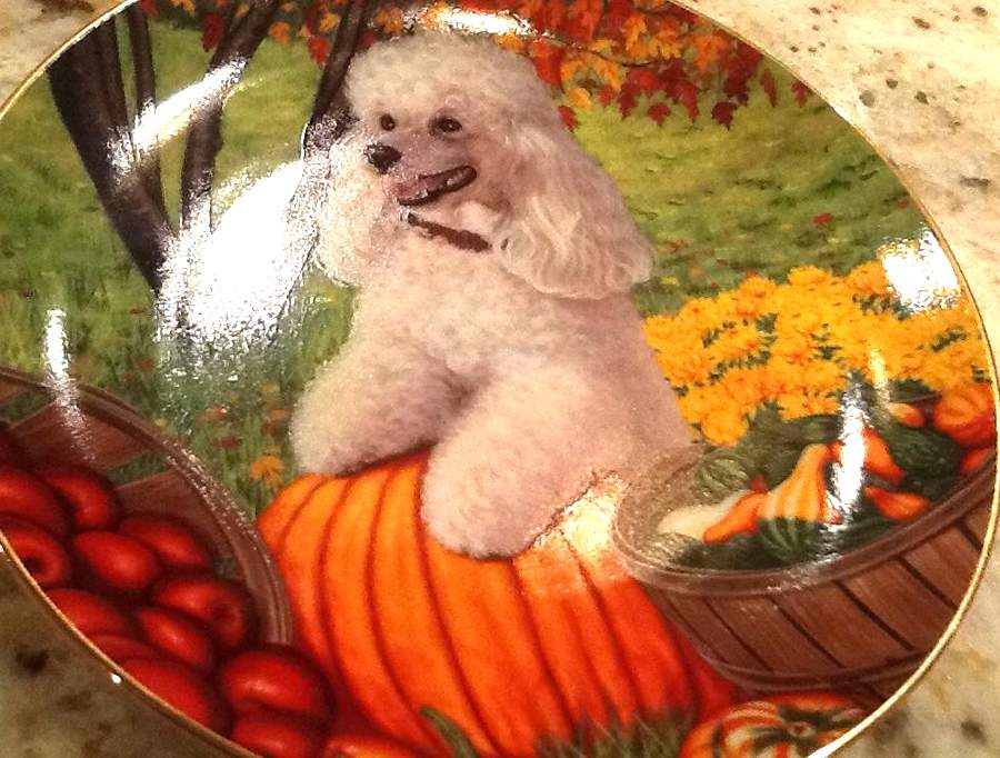 Poodles Pumpkin Poodle - No Box by Danbury Mint-1