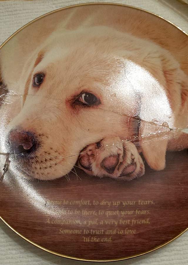 Cherished Labrador Retreiver Someone To Comfort - No Box by Danbury Mint-1