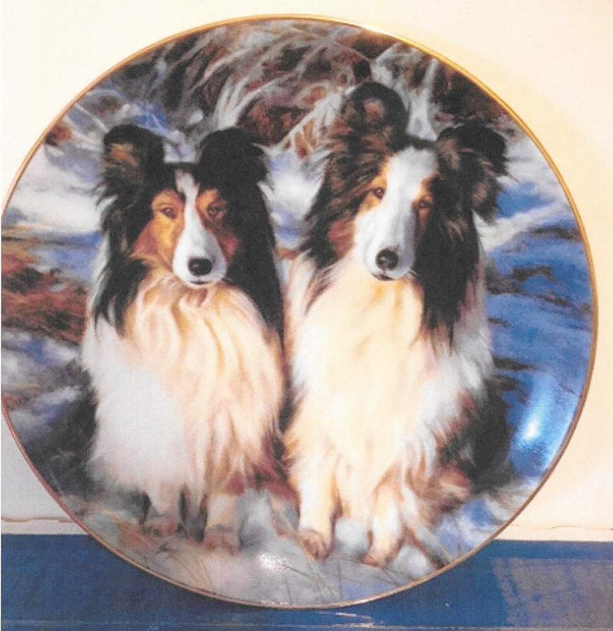 Shetland Sheepdogs Snow Day - No Box by Danbury Mint-1