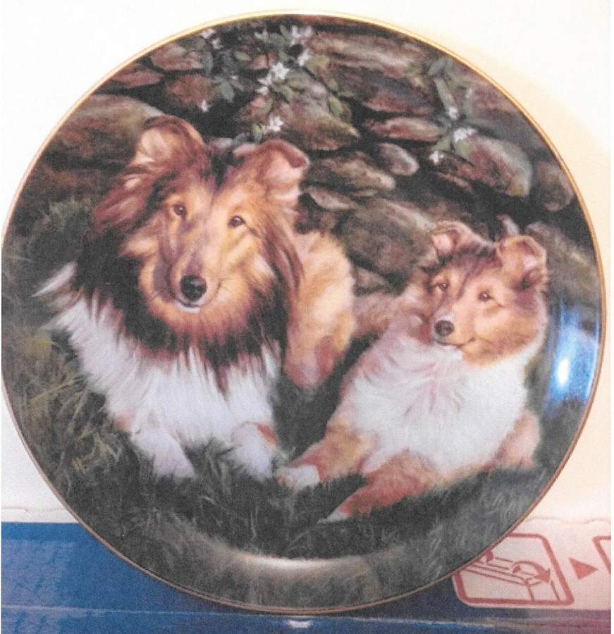Shetland Sheepdogs Leisure Time - No Box by Danbury Mint-1