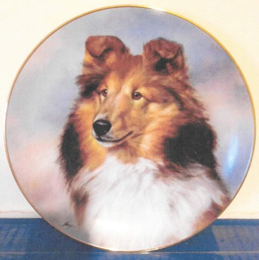Shetland Sheepdogs Perfect Pose - No Box by Danbury Mint-1