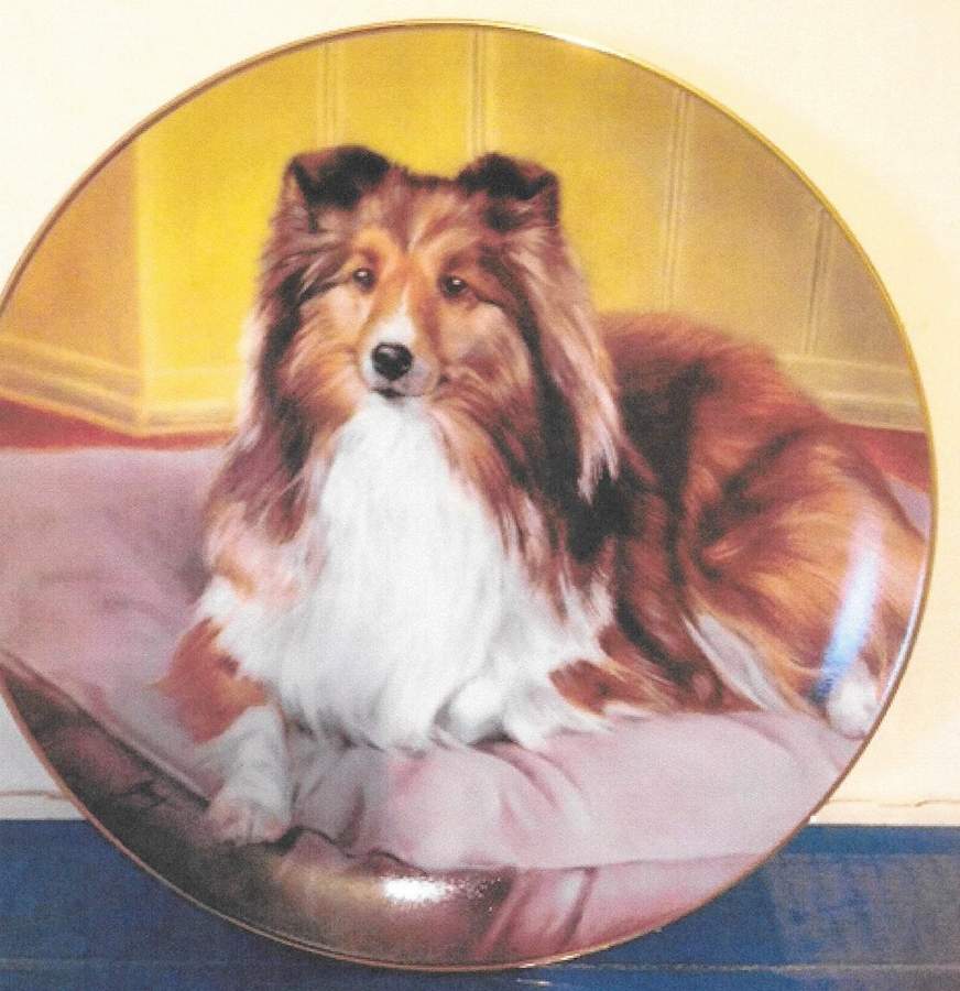 Shetland Sheepdogs Comforts Of Home - No Box by Danbury Mint-1