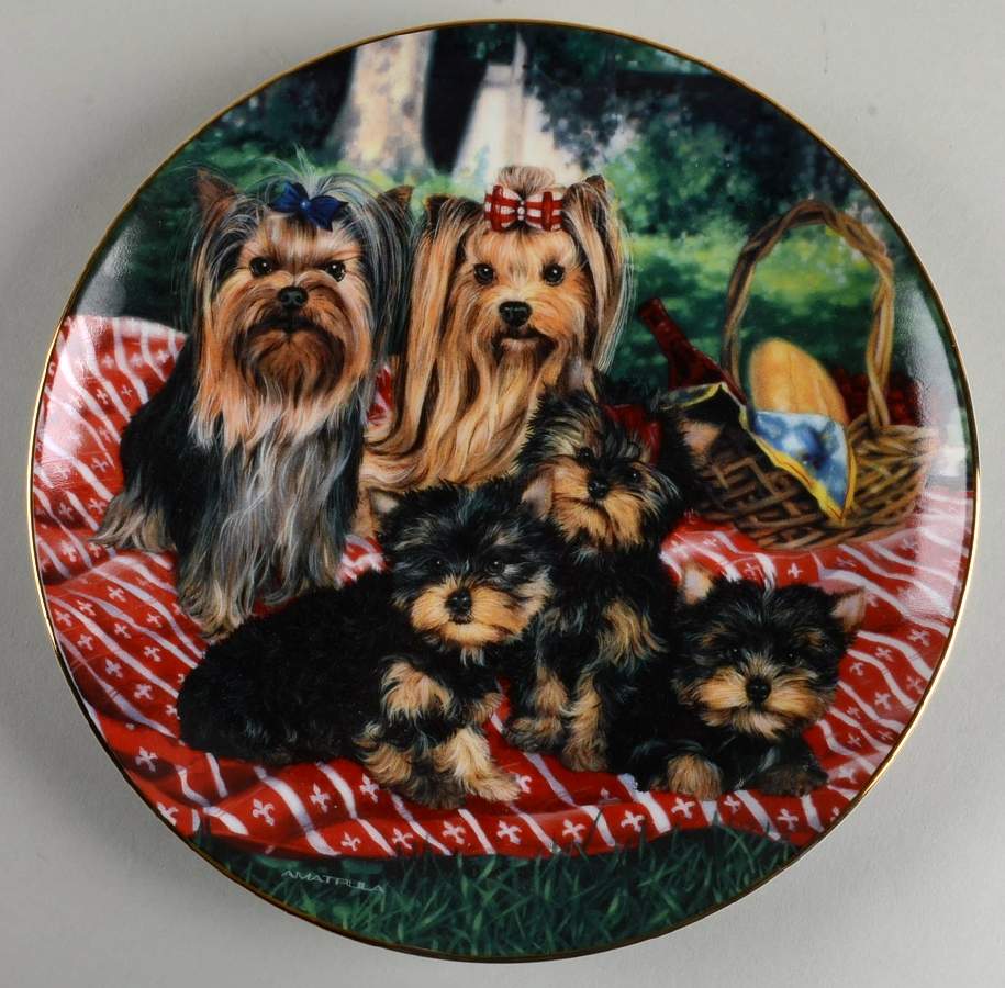 Yorkie Family Family Picnic - No Box by Danbury Mint-1