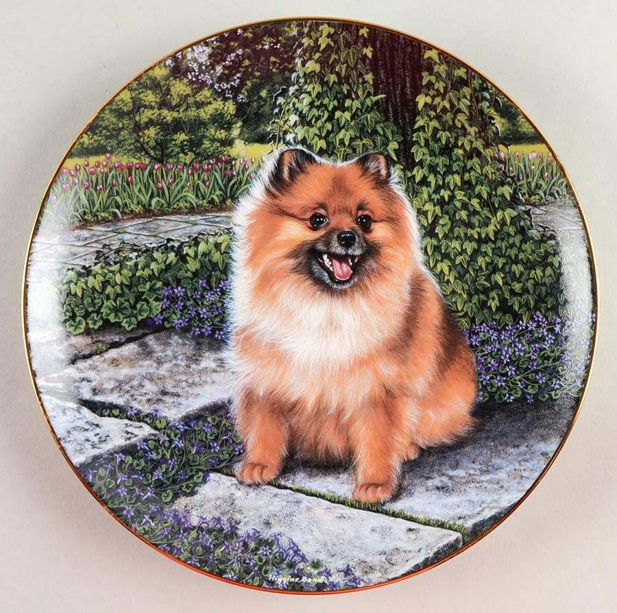 Pomeranians Pom In Bloom - No Box by Danbury Mint-1
