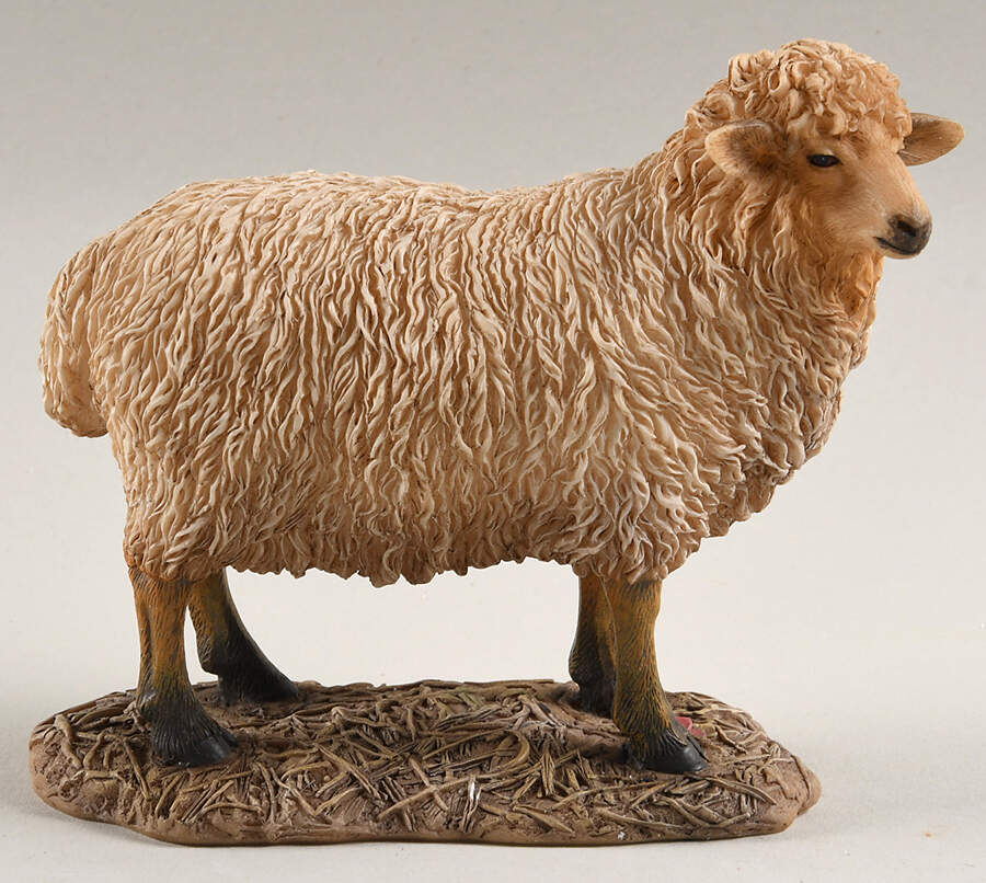 Mama Says Nativity Sheep - No Box by Demdaco-1