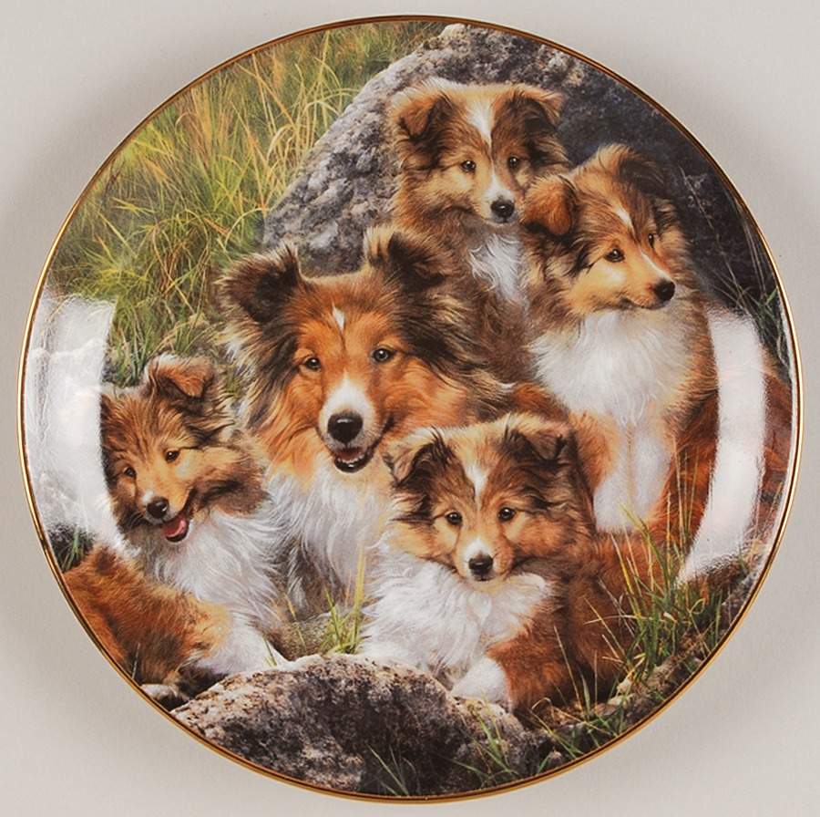 Sheltie Family Family Time - No Box by Danbury Mint-1