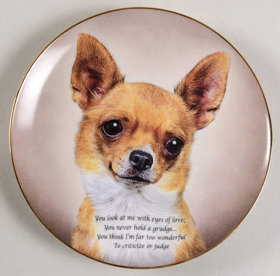 Cherished Chihuahua Eyes Of Love - Boxed by Danbury Mint-1