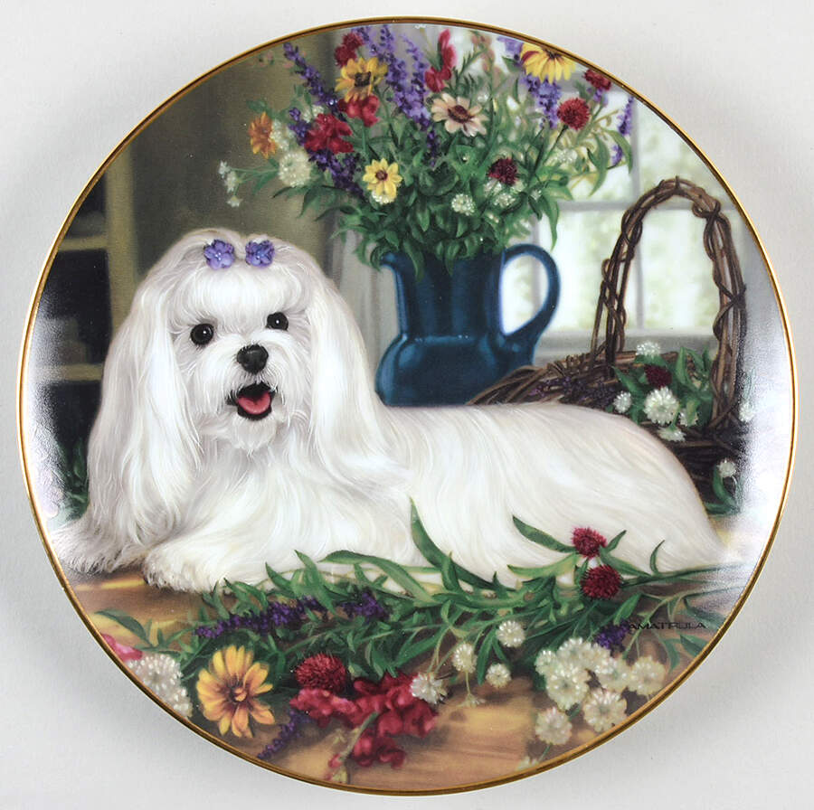 Maltese Floral Delight - No Box by Danbury Mint-1