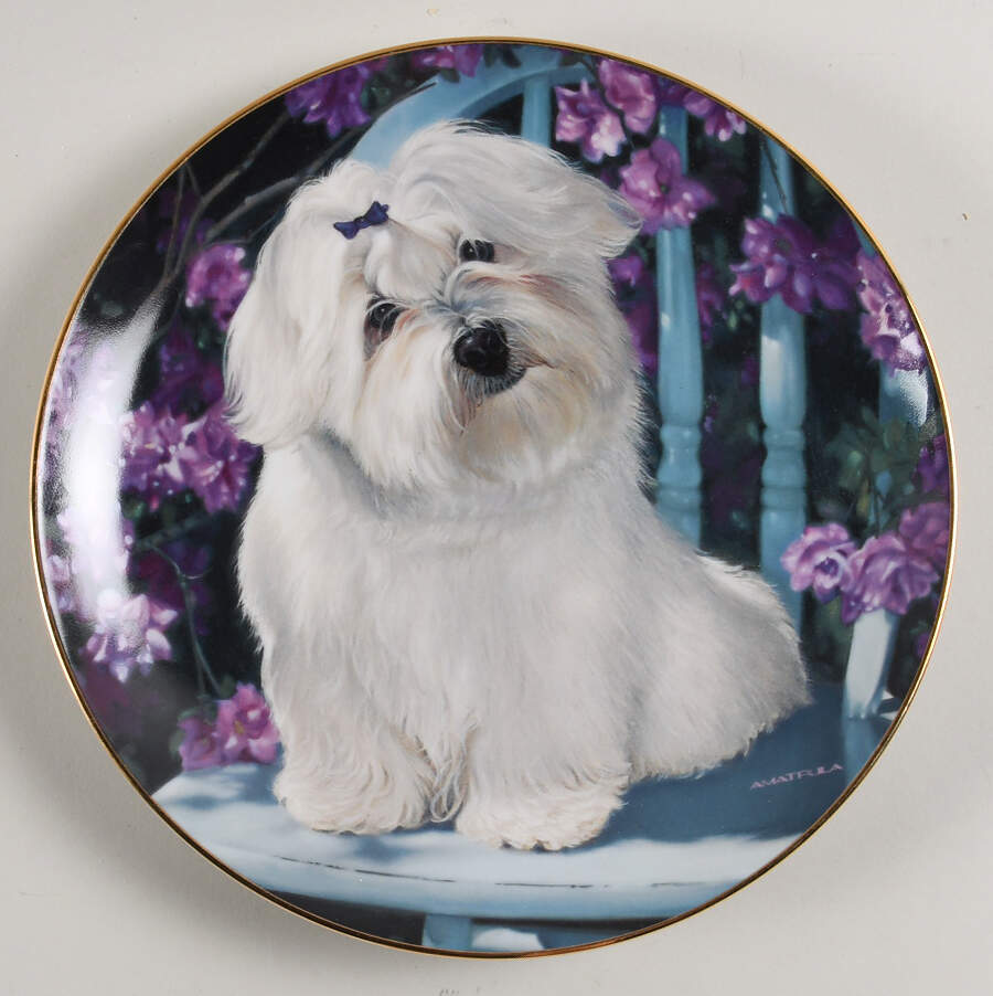 Maltese Lady In Waiting - No Box by Danbury Mint-1