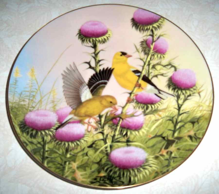 My Backyard Wilderness Early Arrivals - No Box by Eklunds Ltd-1