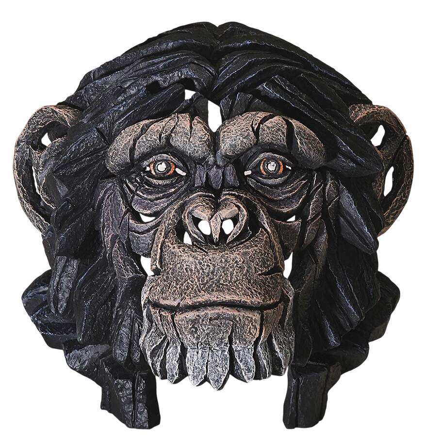 Wild Animals Chimpanzee Bust - Boxed by Edge Sculpture By Matt Buckley-1