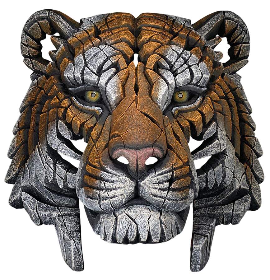 Wild Animals Tiger Bust - Boxed by Edge Sculpture By Matt Buckley-1