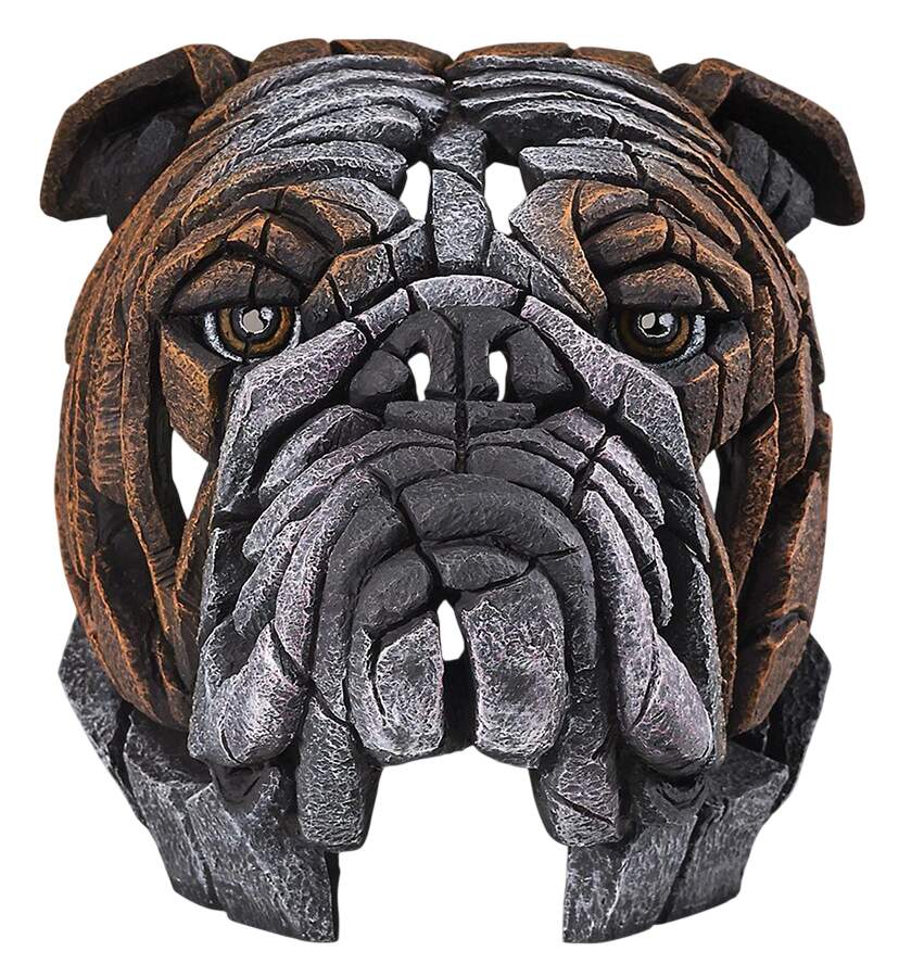Pets Bulldog Bust - No Box by Edge Sculpture By Matt Buckley-1