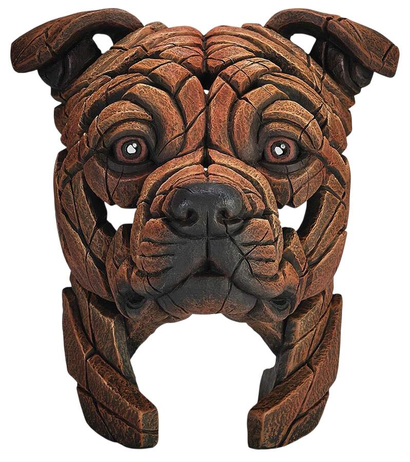 Pets Bull Terrier Bust - Boxed by Edge Sculpture By Matt Buckley-1
