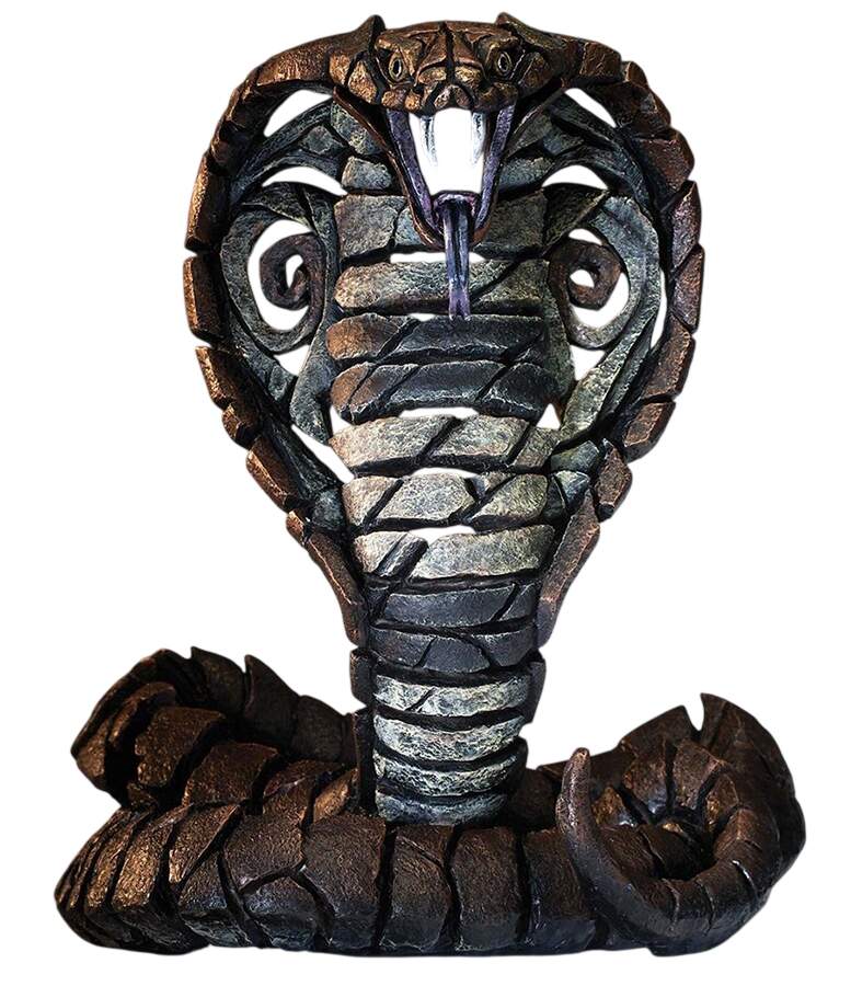 Reptiles & Amphibians Cobra Snake - Boxed by Edge Sculpture By Matt Buckley-1
