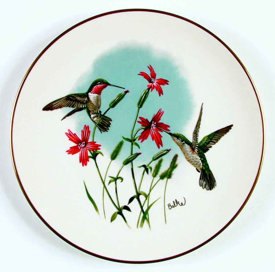Birds & Flowers of Meadow Hummingbird & Fire Pink - Boxed by Fleetwood Collection-1