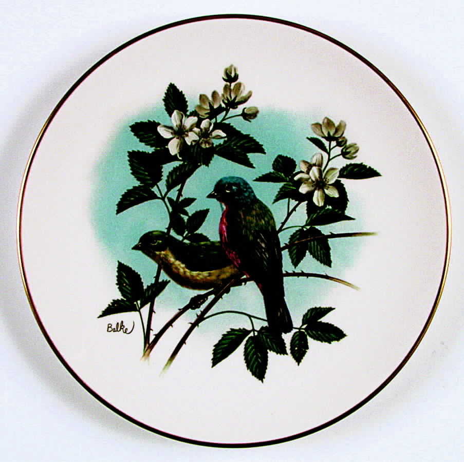Birds & Flowers of Meadow Painted Bunting & Blackberry - Boxed by Fleetwood Collection-1
