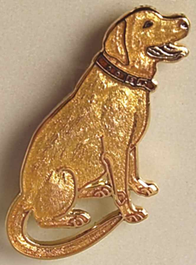 Fine Enamels Jewelry Labrador-Yellow - No Box by Fine Enamels-1