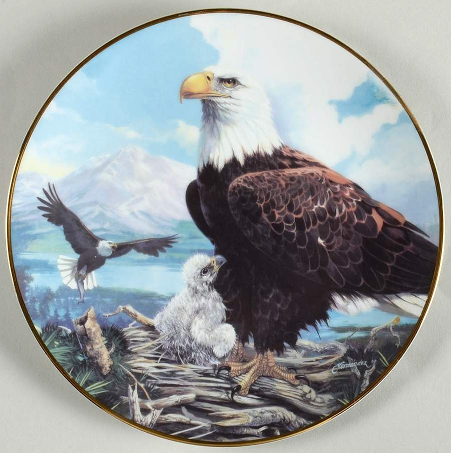 Plates My Pride-My Love - Boxed by Fingerhut-1