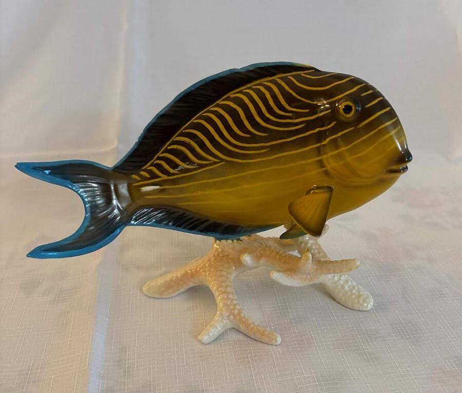 Animals-Figurines Doctor Fish - Boxed by Goebel-1